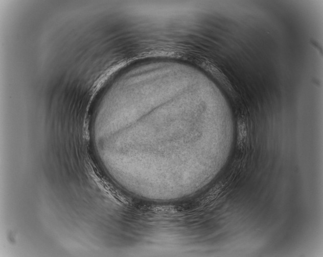 X0000100340628200806261327