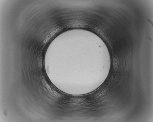 X0000100340629200806261327