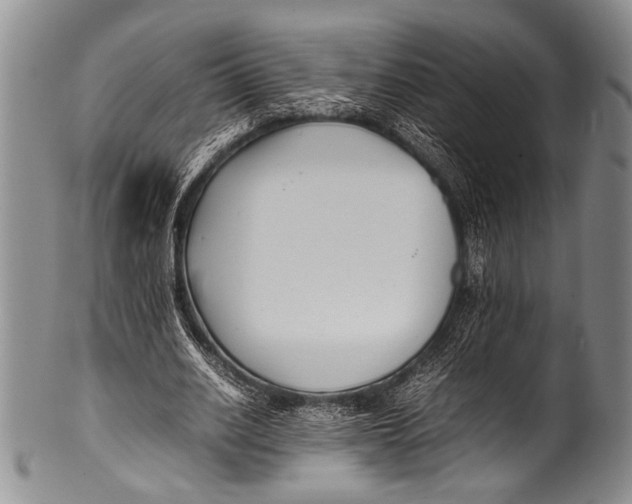 X0000100340630200806261327