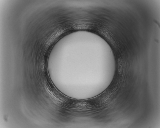 X0000100340631200806261327