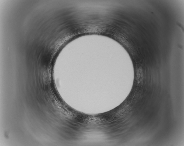 X0000100340632200806261327