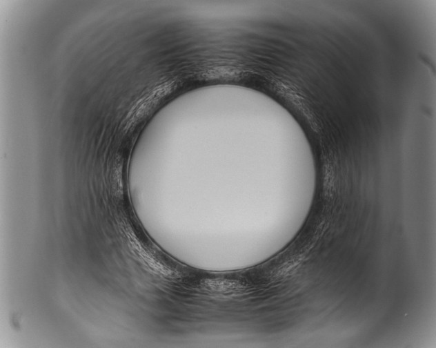 X0000100340633200806261327