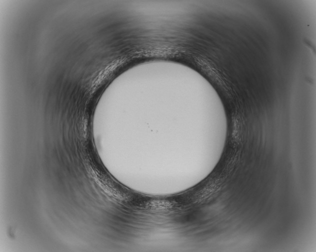 X0000100340636200806261328