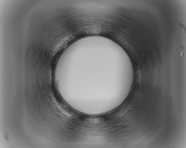 X0000100340638200806261328