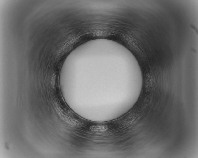 X0000100340639200806261328