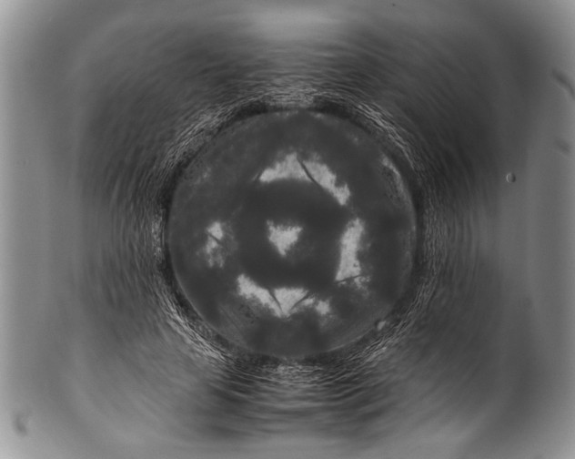 X0000100340641200806261328