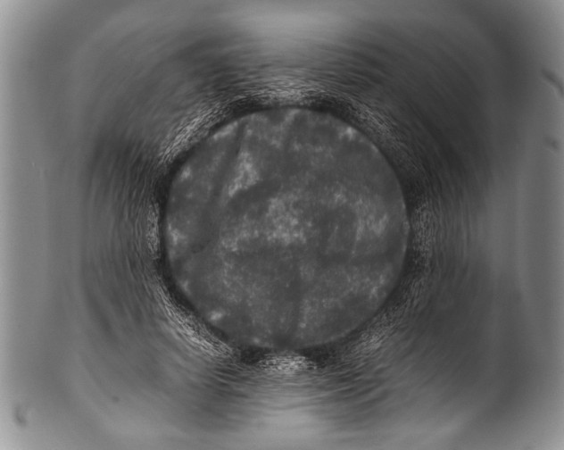 X0000100340642200806261328