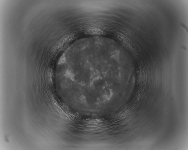 X0000100340643200806261328