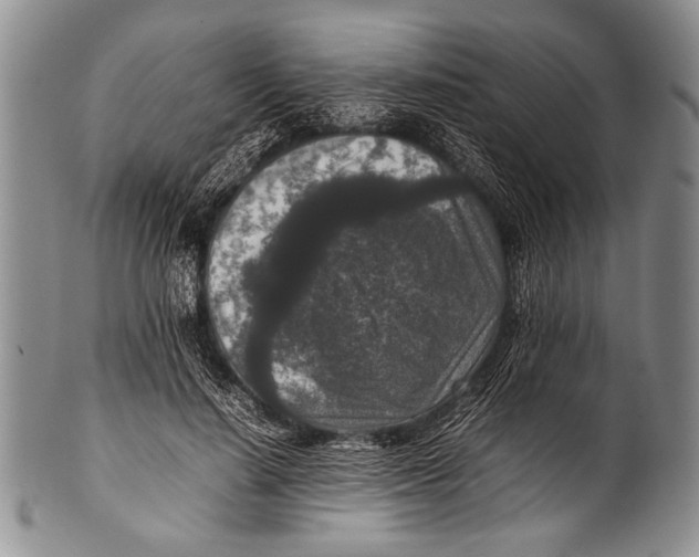 X0000100340644200806261328