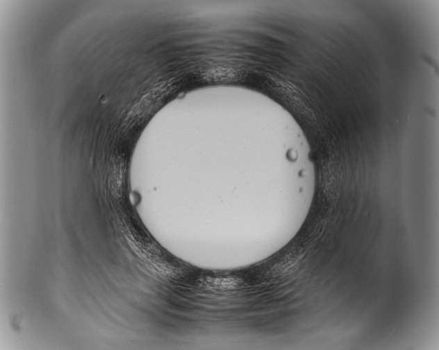 X0000100340645200806261328