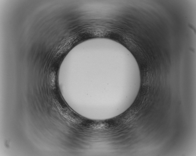 X0000100340646200806261328