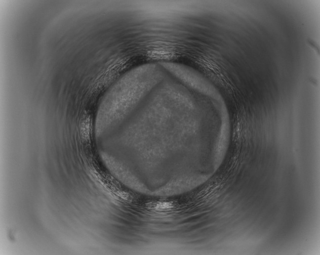 X0000100340647200806261328