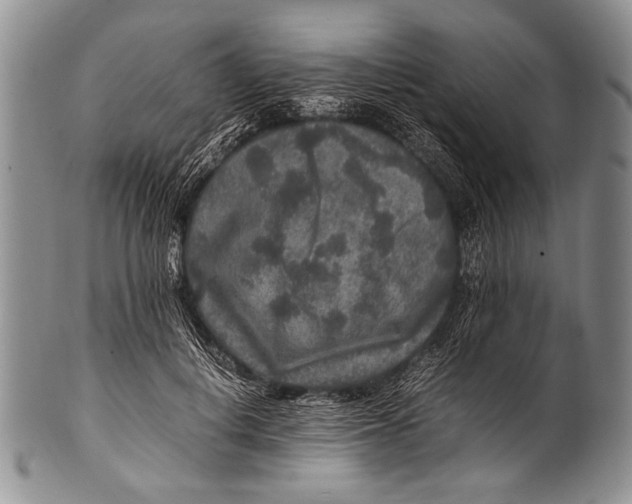 X0000100340648200806261328