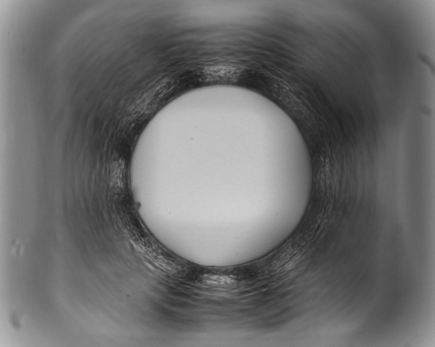 X0000100340649200806261328