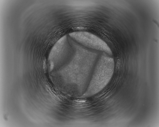 X0000100340651200806261328