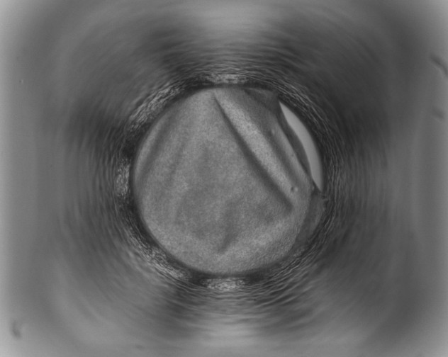 X0000100340652200806261328