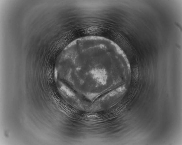 X0000100340653200806261328