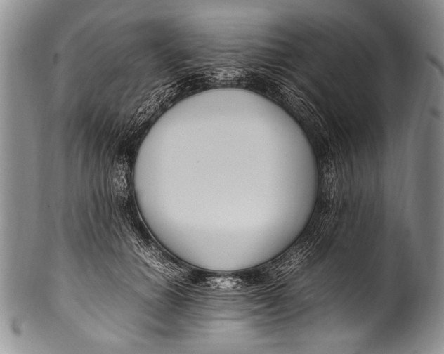 X0000100340654200806261328