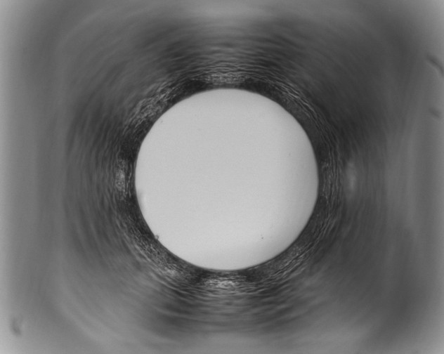 X0000100340655200806261328