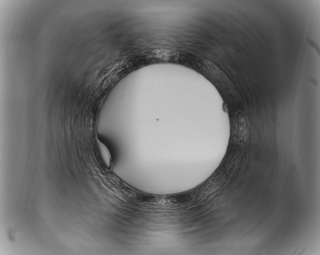 X0000100340656200806261328