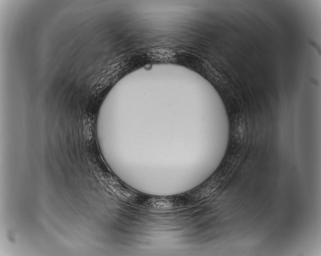 X0000100340658200806261328