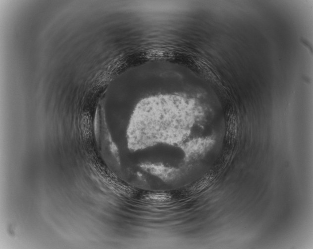 X0000100340659200806261328