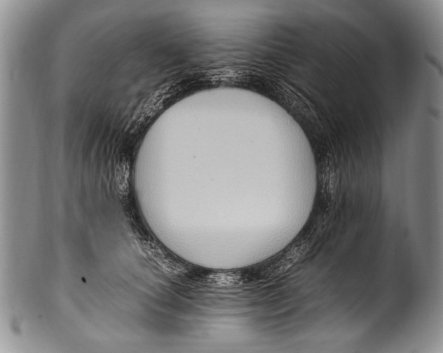 X0000100340660200806261328