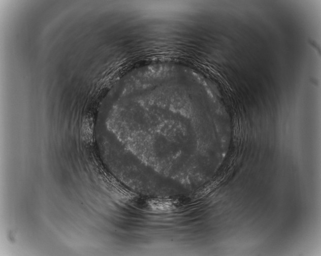 X0000100340661200806261328