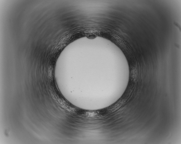 X0000100340662200806261328