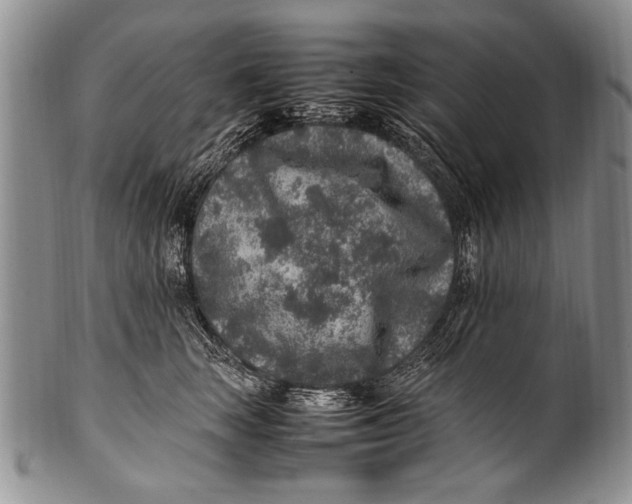 X0000100340663200806261328