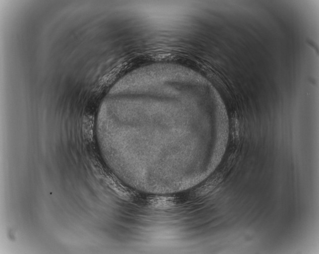 X0000100340664200806261328