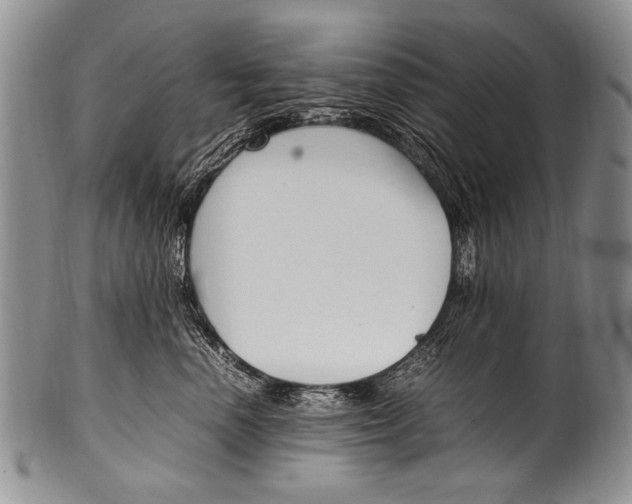 X0000100340666200806261328