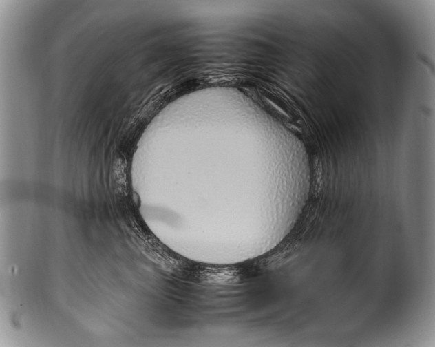 X0000100340667200806261328