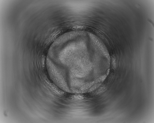 X0000100340668200806261328