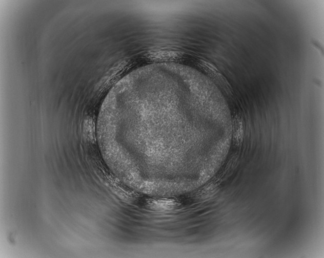 X0000100340669200806261328