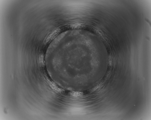 X0000100340670200806261328