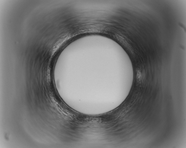 X0000100340676200806261327