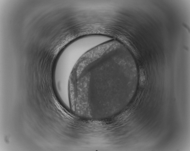 X0000100340677200806261327