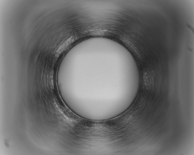 X0000100340682200806261327