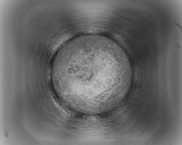 X0000100340683200806261327