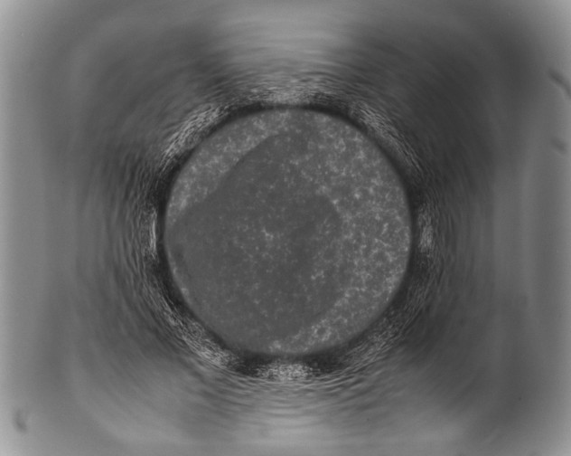 X0000100340685200806261327