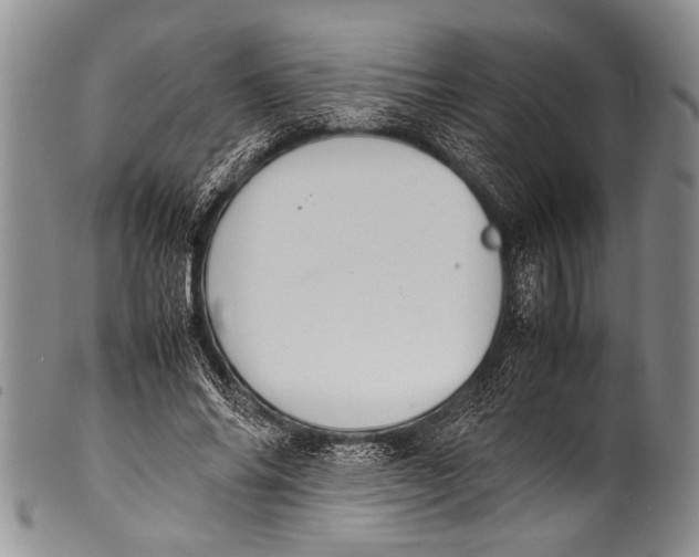 X0000100340686200806261327