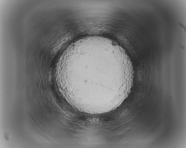 X0000100340687200806261327