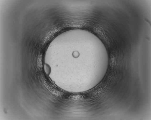 X0000100340688200806261327