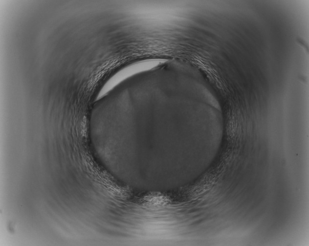 X0000100340689200806261327