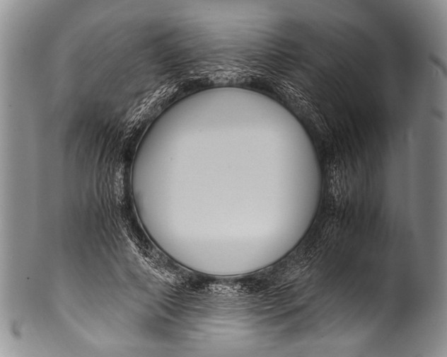 X0000100340690200806261327