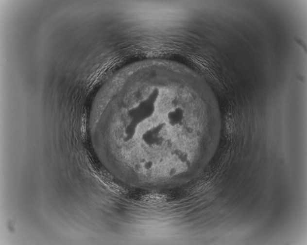 X0000100340691200806261327