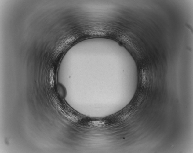 X0000100340692200806261327