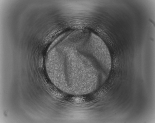 X0000100340693200806261327