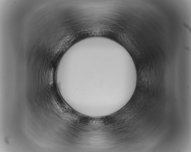 X0000100340694200806261327